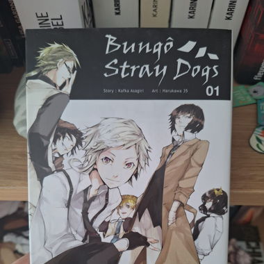 Bungo Stray Dogs