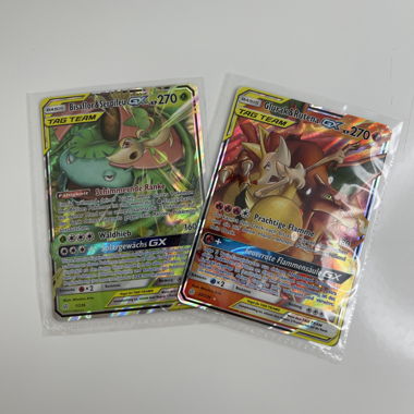 Cartes Pokemon TAG TEAM GX double 2x (1 et 22/236)