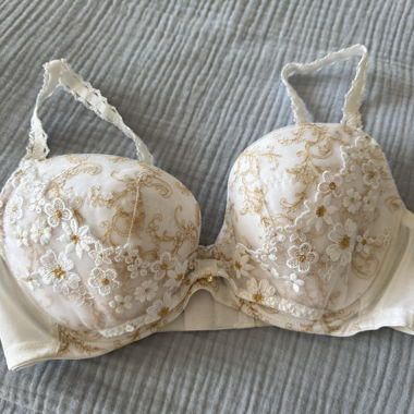 Lace Embroidered Bra 75C-D