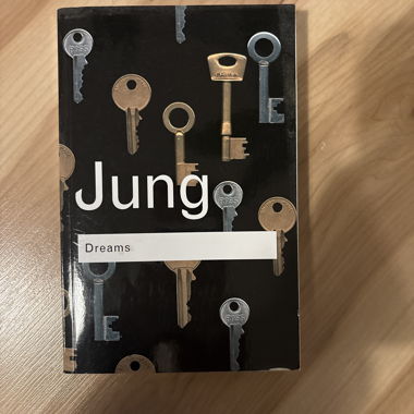 Jung Dreams