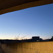 _vi_vi