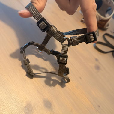 Hundegeschirr aus Nylon klein