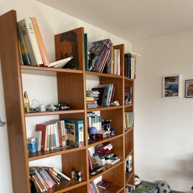 Belle bibliothèque Pfister