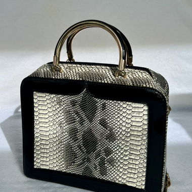 bag/case
