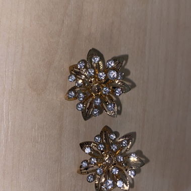 Ohrstecker (2Stk.)
