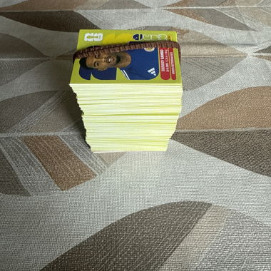Panini-Kartenset