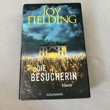 Joy Fielding: The Visitor