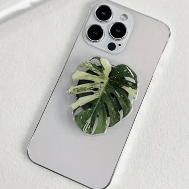 Popsocket, monstera, phoneholder, plant