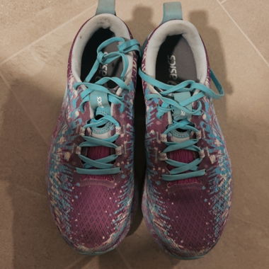 Asics Running Shoes