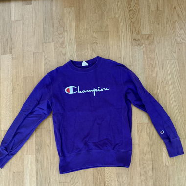 Champion Pullover