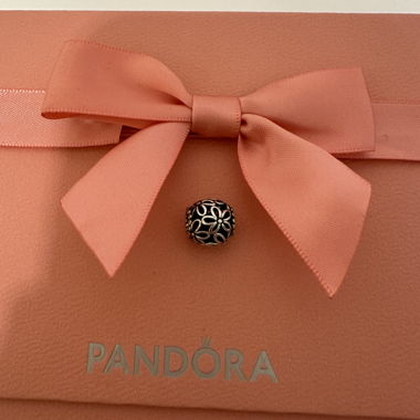 Pandora Charm