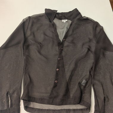 Sheer blouse