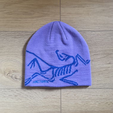 Cappellino Arc'teryx lilla