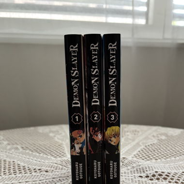 Lot 3 tomes Demon Slayer (VF) – excellent état
