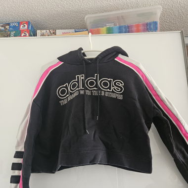 Crop Hoddie