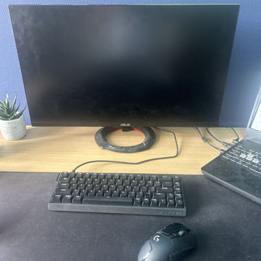 ASUS Monitor 24" plus Maus von Logitech und Tastatur