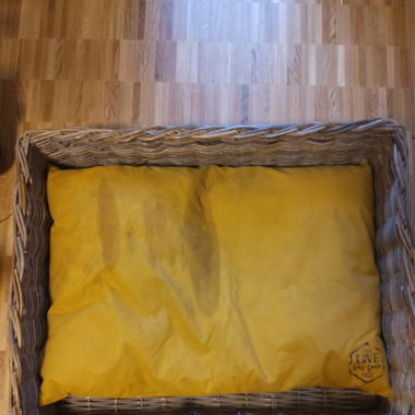 Dog XXL basket with pillow