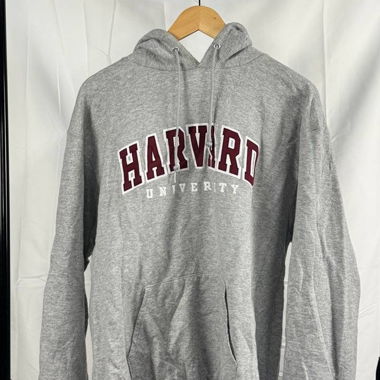 Felpa con cappuccio Harvard grigia