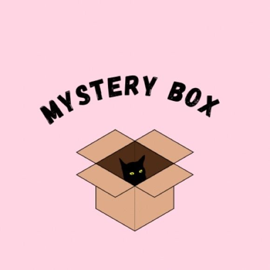 Petite Boite mystère 