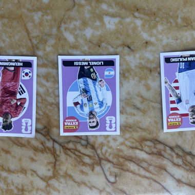 Panini FIFA Sticker Cards