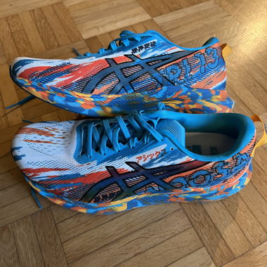 Scarpe da corsa Asics Noosa Tri 13 EU 43,5