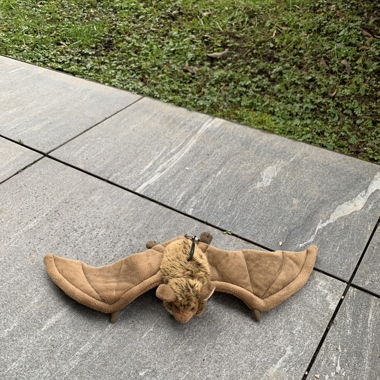 fledermaus plushie plüschtier