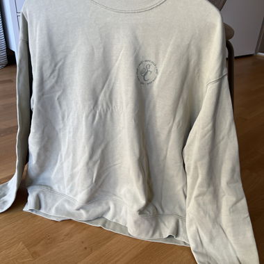 Hellgrünes Sweatshirt mit kleinem Print