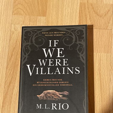 If We Were Villains
