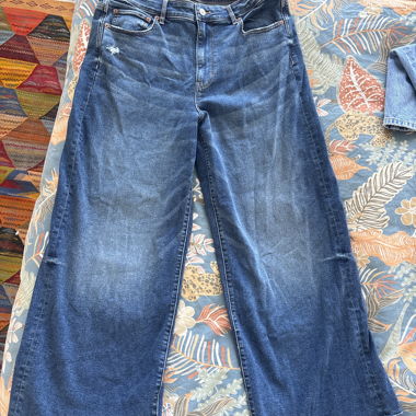 Wide Leg American Eagle Jeans, Size 14 USA / 44 EUR