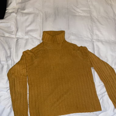 Mustard Yellow Turtleneck