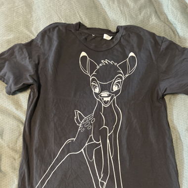 Zara x Disney 