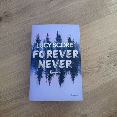 Forever Never Romanzo