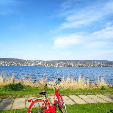 Citybike Damen RED CANDY mit Korb