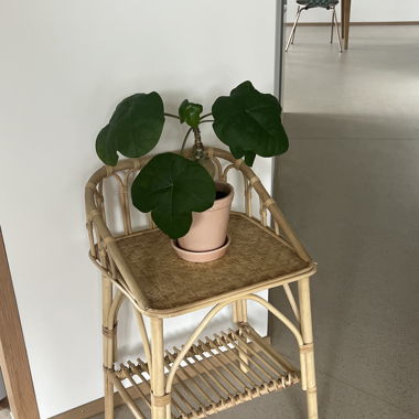 Rattan Möbeli