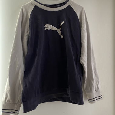 Puma Hoodie