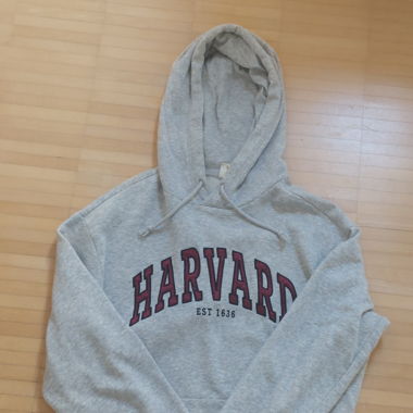 Sweat à capuche gris
