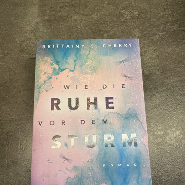 Wie die Ruhe vor dem Sturm Buch