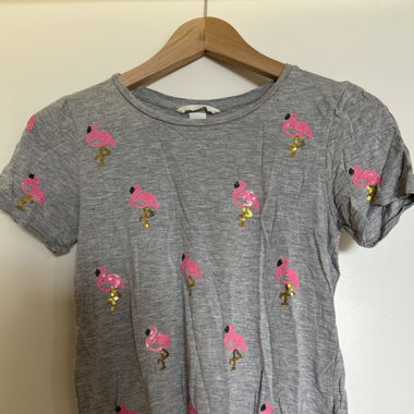 Flamingo T-Shirt