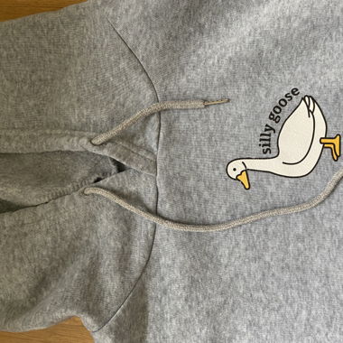 Silly Goose Hoodie