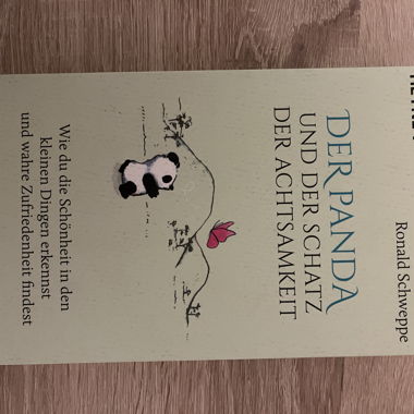 Le panda et le trésor de la pleine conscience