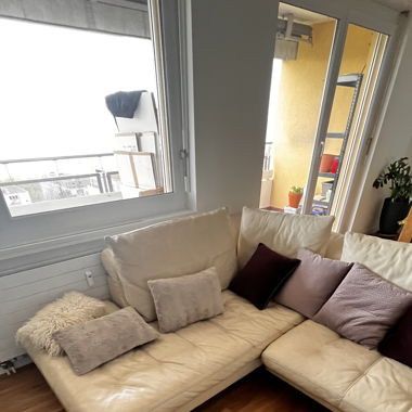 Roche Bobois Ledersofa