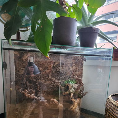 Terrarium 