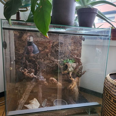 Terrarium 