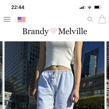 brandy melville linen pants