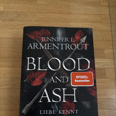 Blood and Ash (Buch, Deutsch)