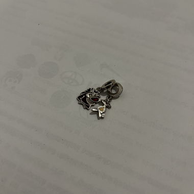 Charms Pandora