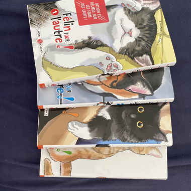 Manga felino «Pour l’autre» tomi 1-4