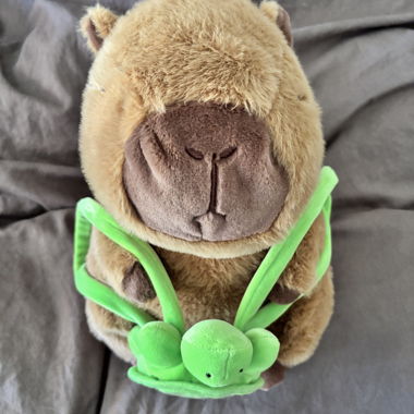 Peluche capibara avec sac tortue 