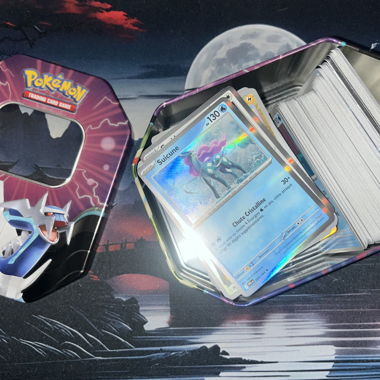Grande lotto di 388 carte Pokémon e Pokebox