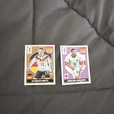 Panini FIFA Sticker Cards